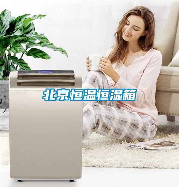 北京恒温恒湿箱