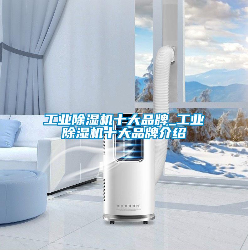 工业除湿机十大品牌_工业除湿机十大旭彩网