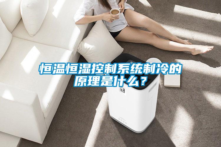 恒温恒湿控制系统制冷的原理是什么？