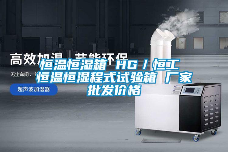 恒温恒湿箱 HG／恒工 恒温恒湿程式试验箱 厂家批发价格