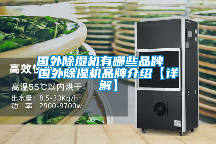 国外除湿机有哪些品牌  国外除湿机旭彩网【详解】