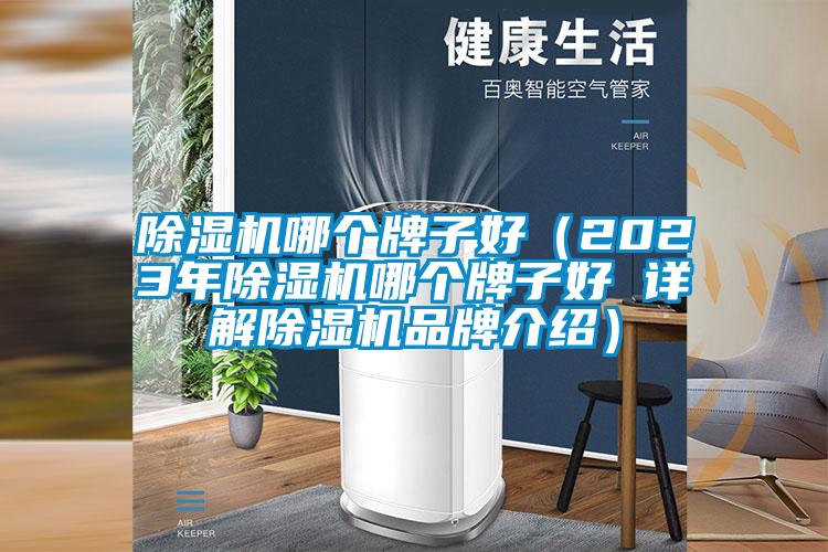 除湿机哪个牌子好（2023年除湿机哪个牌子好 详解除湿机旭彩网）