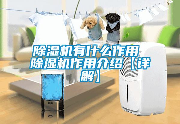 除湿机有什么作用 除湿机作用介绍【详解】