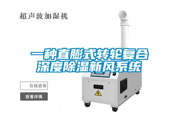 一种直膨式转轮复合深度除湿新风系统