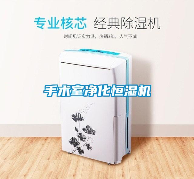 手术室净化恒湿机