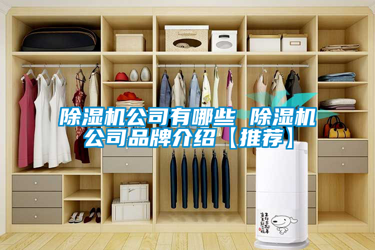 除湿机公司有哪些 除湿机公司旭彩网【推荐】