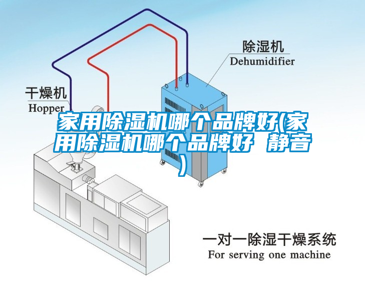 家用除湿机哪个品牌好(家用除湿机哪个品牌好 静音)