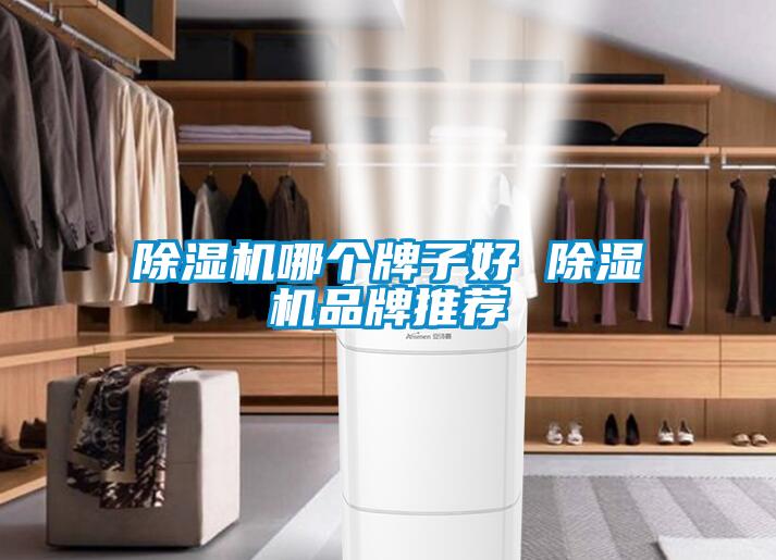 除湿机哪个牌子好 除湿机品牌推荐