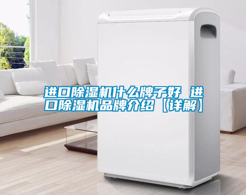 进口除湿机什么牌子好 进口除湿机旭彩网【详解】