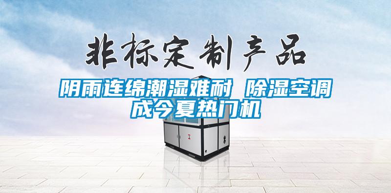 阴雨连绵潮湿难耐 除湿空调成今夏热门机