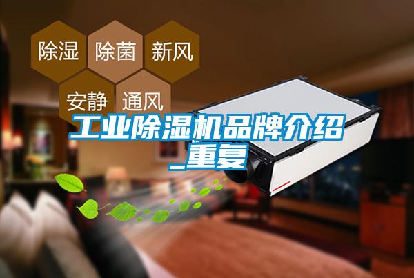 工业除湿机旭彩网_重复