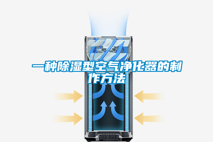 一种除湿型空气净化器的制作方法