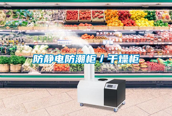 防静电防潮柜／干燥柜