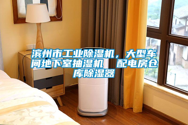 滨州市工业除湿机，大型车间地下室抽湿机  配电房仓库除湿器