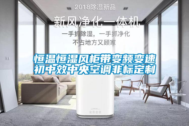 恒温恒湿风柜带变频变速初中效中央空调非标定制
