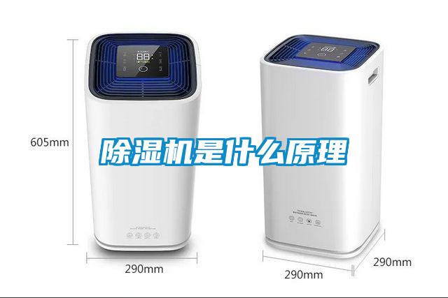 除湿机是什么原理