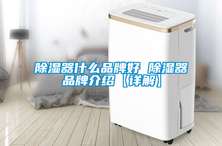 除湿器什么品牌好 除湿器旭彩网【详解】
