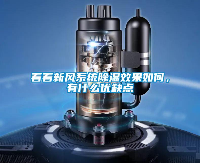 看看新风系统除湿效果如何，有什么优缺点