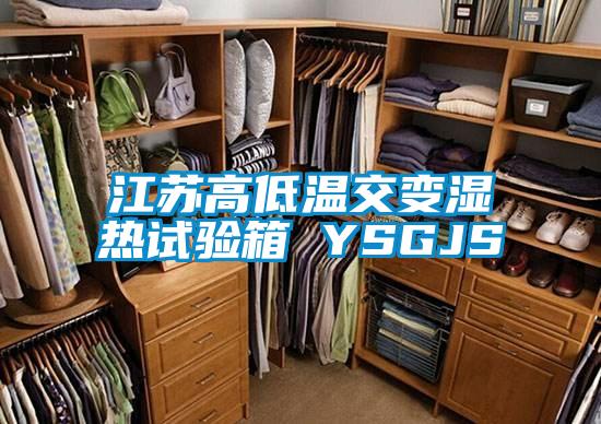 江苏高低温交变湿热试验箱 YSGJS
