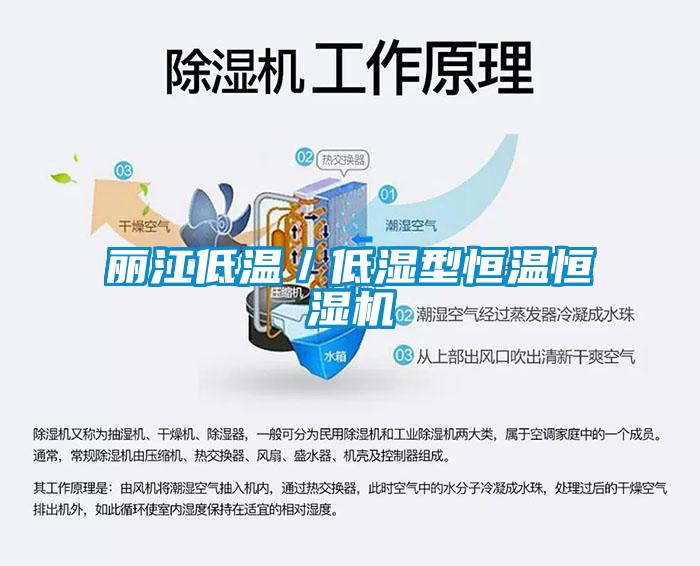 丽江低温／低湿型恒温恒湿机