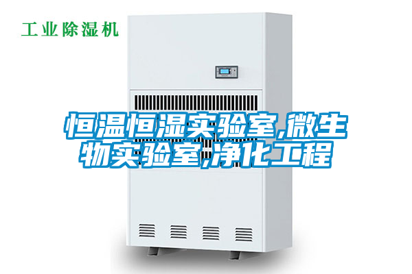 恒温恒湿实验室,微生物实验室,净化工程