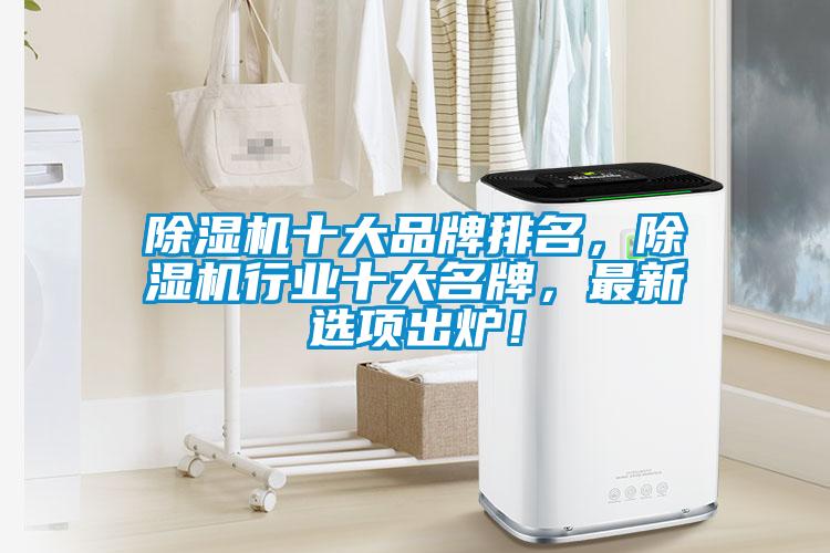 除湿机十大品牌排名，除湿机行业十大名牌，最新选项出炉！