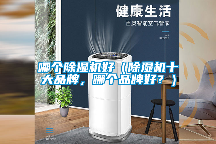 哪个除湿机好（除湿机十大品牌，哪个品牌好？）