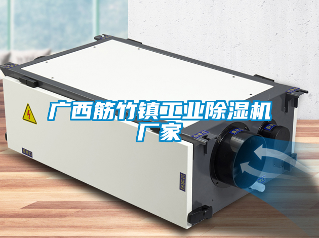 广西筋竹镇工业除湿机厂家