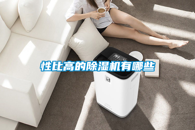 性比高的除湿机有哪些