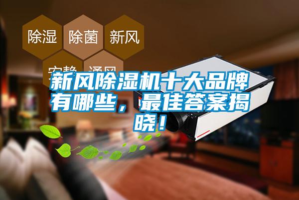 新风除湿机十大品牌有哪些，最佳答案揭晓！