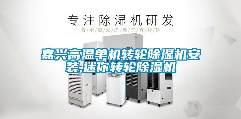 嘉兴高温单机转轮除湿机安装,迷你转轮除湿机