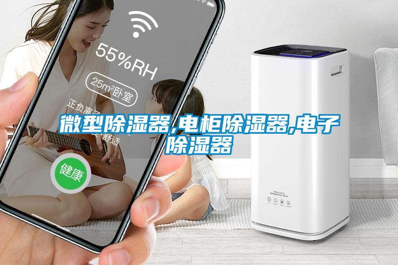 微型除湿器,电柜除湿器,电子除湿器