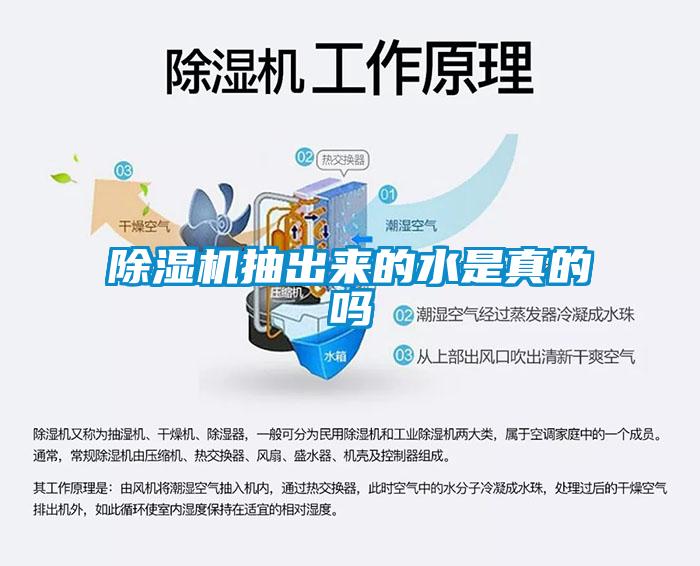 除湿机抽出来的水是真的吗