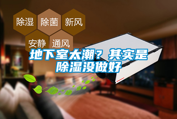 地下室太潮？其实是除湿没做好