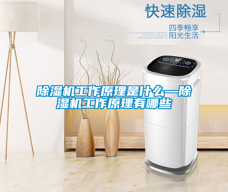 除湿机工作原理是什么—除湿机工作原理有哪些