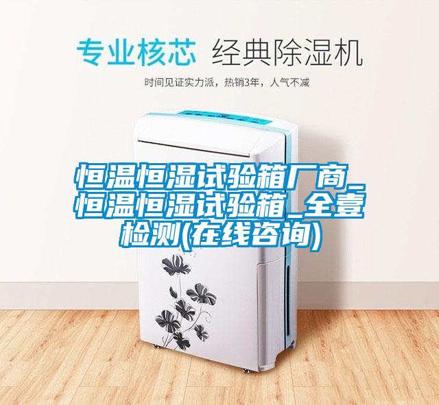恒温恒湿试验箱厂商_恒温恒湿试验箱_全壹检测(在线咨询)