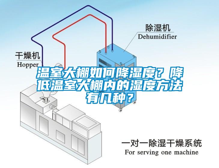 温室大棚如何降湿度？降低温室大棚内的湿度方法有几种？