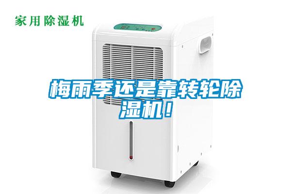 梅雨季还是靠转轮除湿机！