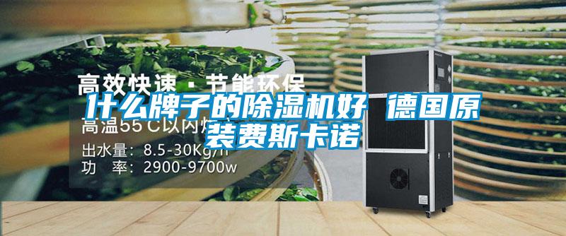 什么牌子的除湿机好 德国原装费斯卡诺