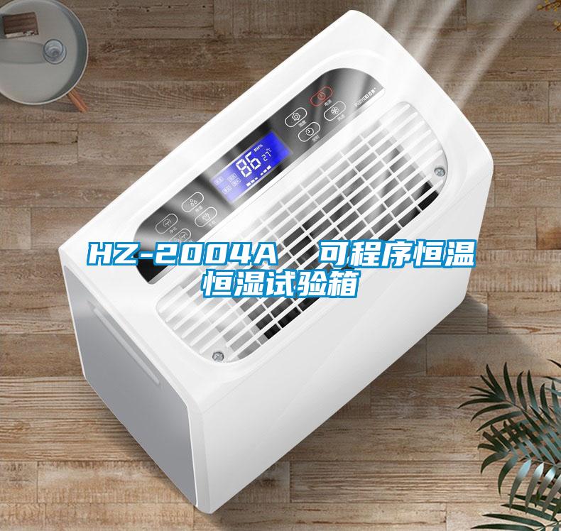 HZ-2004A  可程序恒温恒湿试验箱