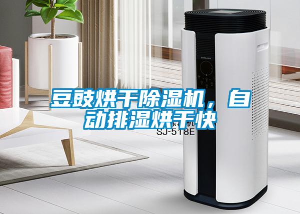 豆豉烘干除湿机，自动排湿烘干快