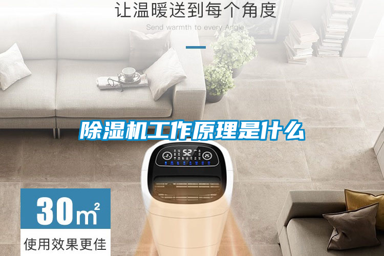除湿机工作原理是什么