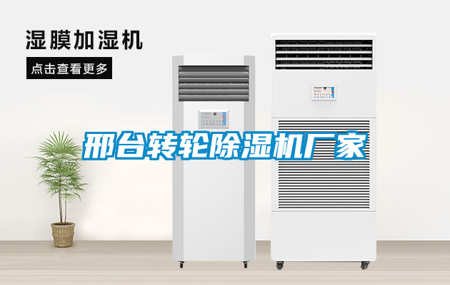 邢台转轮除湿机厂家