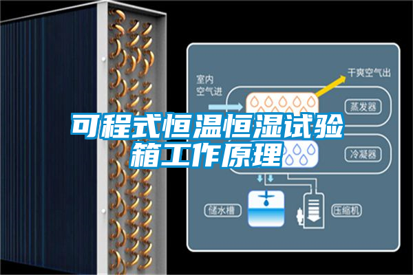 可程式恒温恒湿试验箱工作原理