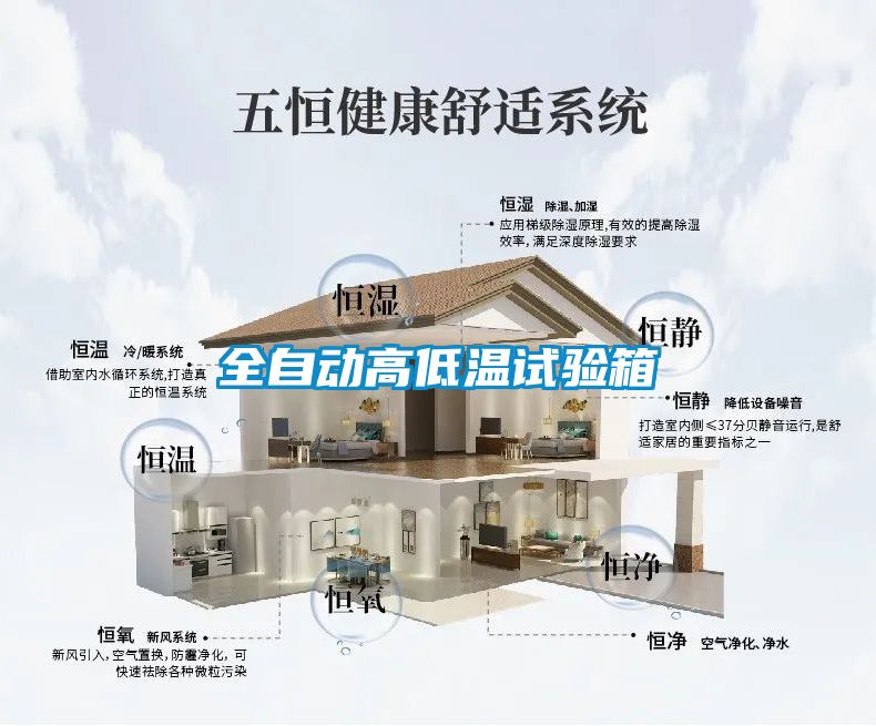 全自动高低温试验箱