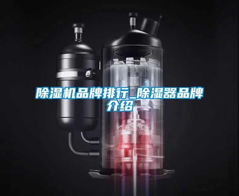 除湿机品牌排行_除湿器旭彩网