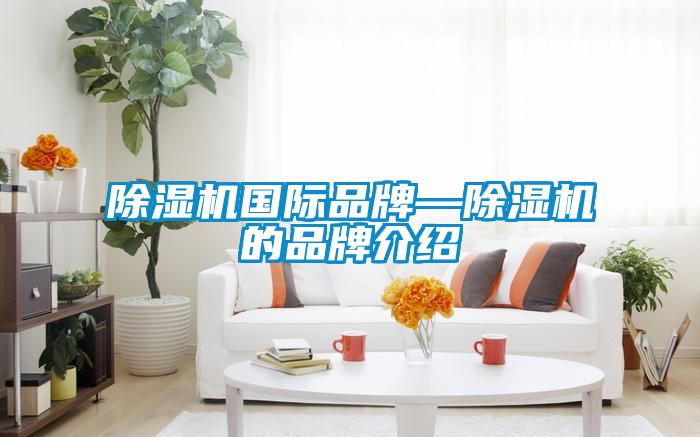 除湿机国际品牌—除湿机的旭彩网