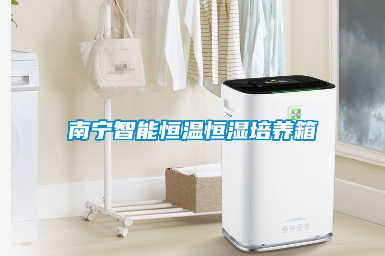 南宁智能恒温恒湿培养箱