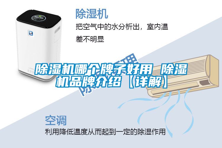 除湿机哪个牌子好用 除湿机旭彩网【详解】