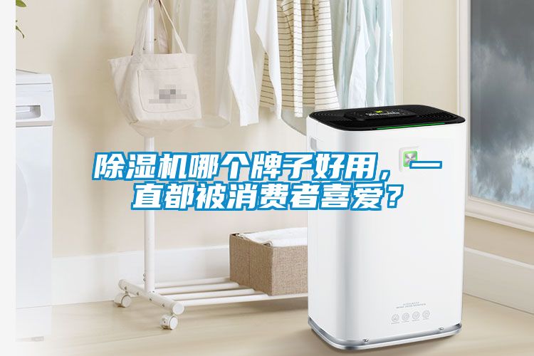 除湿机哪个牌子好用，一直都被消费者喜爱？